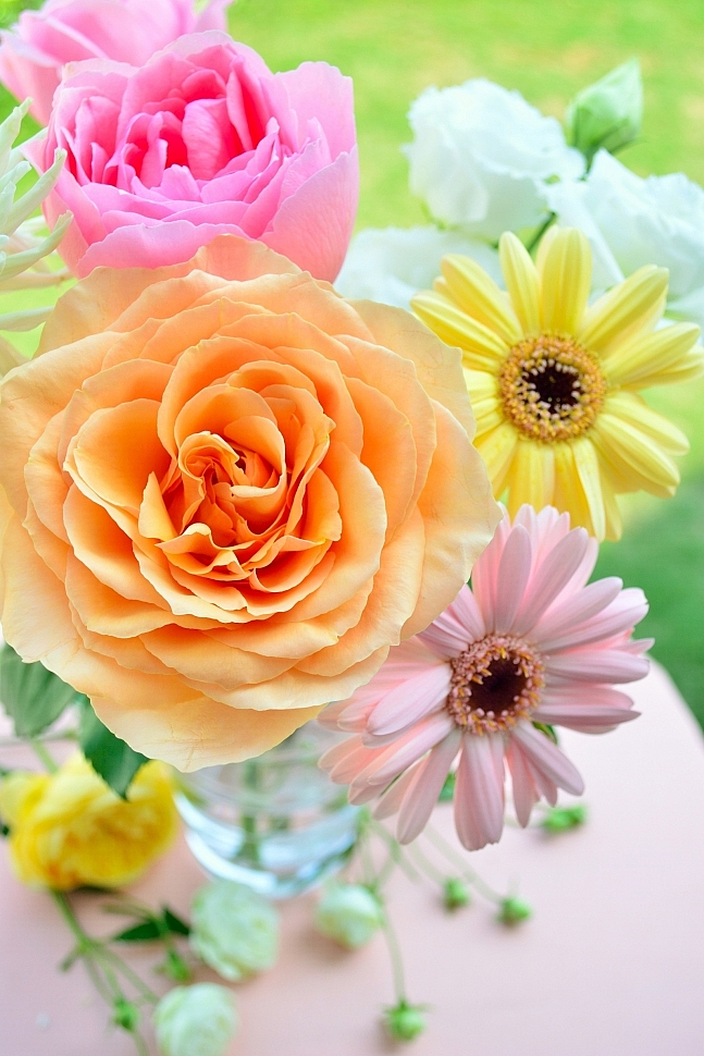 d3100_01.jpg